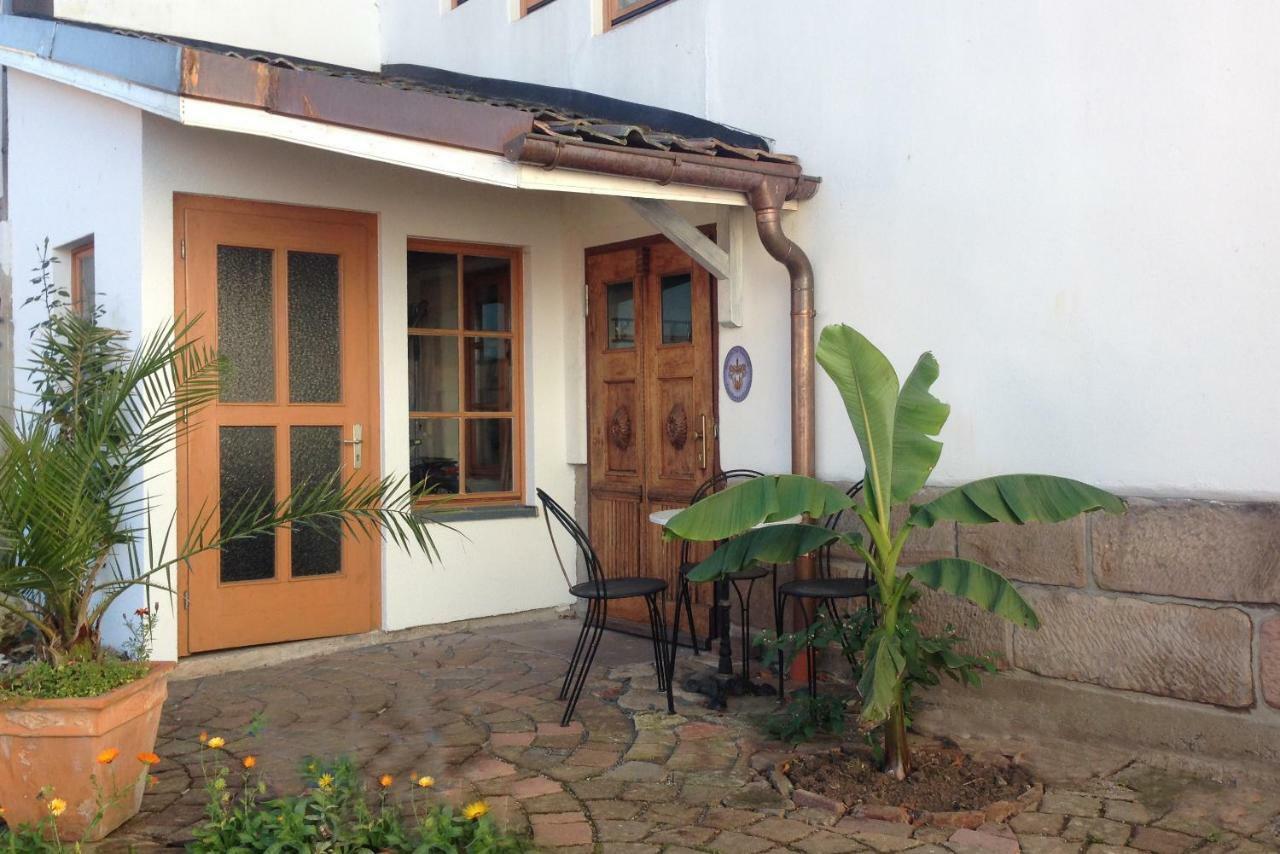Fewo Paramaribo Witzenhausen Dış mekan fotoğraf